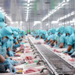 Europe Tightens Seafood Traceability Regulations