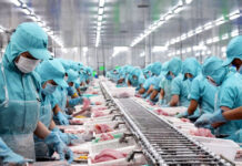 Europe Tightens Seafood Traceability Regulations