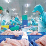 Seafood Exports to the U.S. Face Turbulence Amid Retaliatory Tariffs