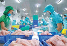 Seafood Exports to the U.S. Face Turbulence Amid Retaliatory Tariffs