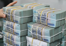 Credit Growth in Ho Chi Minh City and Dong Nai Surges 10.37% Over 10 Months