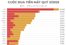 Vingroup Surges Ahead in Cash Reserves Race, Leading 13 Firms with Over 20,000 Billion VND