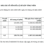 TNG Boosts Chartered Capital to Over 1.3 Trillion VND