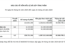 TNG Boosts Chartered Capital to Over 1.3 Trillion VND