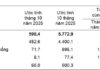 Retail Sales and Consumer Service Revenue Surge 9.3% Year-on-Year by May 10, 2025