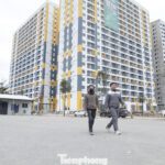 Cracking Down on Housing Scams: Bac Ninh Tackles Fake Diplomatic Housing Sales