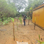 Encroachment on Hanoi Lakes: Local Wards and Communes Fail to Implement Violation Handling Directives