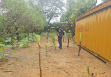 Encroachment on Hanoi Lakes: Local Wards and Communes Fail to Implement Violation Handling Directives