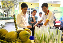 From Low-Value Crop to Vietnam’s Export Superstar