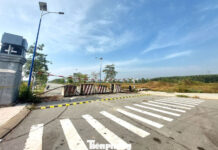 Unveiling Dormant Housing Projects on Prime Land in Ho Chi Minh City for Years