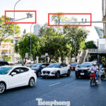 Unveiling the Tricks: How Drivers in Hanoi Evade AI Traffic Cameras