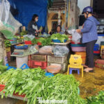 “Vegetables Cost More Than Meat and Fish These Days”