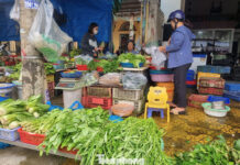 “Vegetables Cost More Than Meat and Fish These Days”