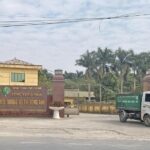 Chief Auditor Passes Away, Company Unaware for Four Months