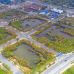 Ho Chi Minh City Plans Auction of Seven Land Plots in Thu Thiem New Urban Area