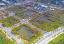 Ho Chi Minh City Plans Auction of Seven Land Plots in Thu Thiem New Urban Area