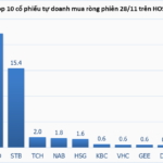 Tracking the Shark Money Flow on November 28: Proprietary Traders and Foreign Investors Diverge, VNM Grabs Attention