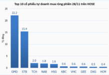 Tracking the Shark Money Flow on November 28: Proprietary Traders and Foreign Investors Diverge, VNM Grabs Attention