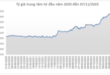 USD Price Experiences Slight Decline