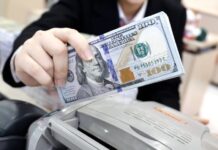 USD Free Market Rate Nears 28,000 VND: Experts Share Latest Forecasts