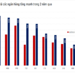 Unveiling the Two New ‘Capital Giants’ in the Banking Sector