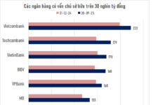 Vietnam’s Sole Bank with Over $8 Billion in Equity Capital