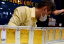 Unlocking the Gold Floor Model: Global Insights on Mobilizing Civilian Gold Reserves