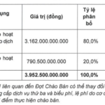 VCI Sets Private Placement Price at VND 31,000, Attracting Foreign Institutions Willing to Invest Hundreds of Billions