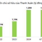 Thanh Xuan Corporation Completes Early Redemption of Entire Bond Issuance