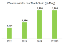 Thanh Xuan Corporation Completes Early Redemption of Entire Bond Issuance