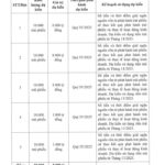 Vietjet Launches VND 1,000 Billion Bond Issuance