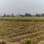 Cracking Down on Illegal Property Sales and Unauthorized Capital Mobilization in Bac Ninh