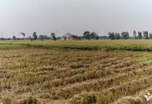 Cracking Down on Illegal Property Sales and Unauthorized Capital Mobilization in Bac Ninh