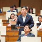 Revamping Investment Laws: Ending the ‘One-Size-Fits-All’ Approach