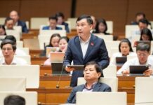 Revamping Investment Laws: Ending the ‘One-Size-Fits-All’ Approach