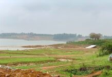 Clarification on Issuing Land Use Rights Certificates for Land Violating Purpose Post July 1, 2014