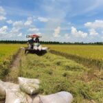 Vietnam: China’s Largest ASEAN Trading Partner and 4th Largest Globally