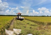 Vietnam: China’s Largest ASEAN Trading Partner and 4th Largest Globally