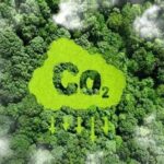 Unlocking Sustainable Economies: The Carbon Credit Market as the Green Asset Frontier