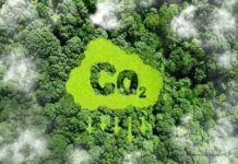 Unlocking Sustainable Economies: The Carbon Credit Market as the Green Asset Frontier