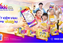 Strike Gold Daily with Vikki Bank – Your Ultimate Savings Bank