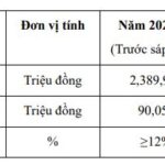 Viglacera Restructures Tile Segment: VIT Issues Shares to Merge VIH and TLT