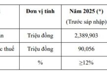 Viglacera Restructures Tile Segment: VIT Issues Shares to Merge VIH and TLT