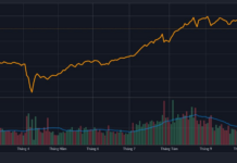 What’s Happening with Vietnam’s Stock Market?