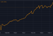 The Rollercoaster Ride of the Stock Market: What’s Really Happening?