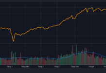 No Reason to Be Pessimistic: Current Price Levels Are More Than Reasonable, Says Mr. La Giang Trung