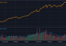 Stock Market Rebounds After 200-Point Plunge: Genuine Bottom or Just a “Bull Trap”?