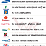 Top 10 Largest Private Enterprises in Vietnam 2025: Billionaire Nguyen Thi Phuong Thao’s Two Companies Make Debut Appearance