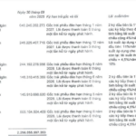 Văn Phú Raises VND 135 Billion Through Bond Issuance, Backed by Chairman Tô Như Toàn’s Shares