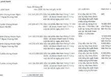 Văn Phú Raises VND 135 Billion Through Bond Issuance, Backed by Chairman Tô Như Toàn’s Shares